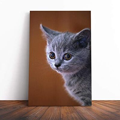 Big Box Art British Blue Shorthair Kitten Cat Canvas Print Gallery Wrapped 30mm Frame Wall Art 24x16 inches Ready to Hang Modern Animals Picture Living Room Bedroom Lounge Office Big Box Art British Blue Shorthair Kitten Cat Canvas Print Gallery Wrapped 30mm Frame Wall Art 24x16 inches Ready to Hang Modern Animals Picture Living Room Bedroom Lounge Office