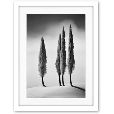 Artery8 Group of Cypress Trees on Snowy Hill Minimalist Black and White Photograph Cypresses in Foggy Winter Landscape Artwork Framed Wall Art Print 18X24 Inch Artery8 Group of Cypress Trees on Snowy Hill Minimalist Black and White Photograph Cypresses in Foggy Winter Landscape Artwork Framed Wall Art Print 18X24 Inch