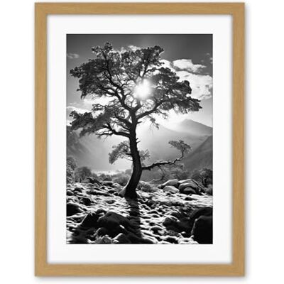 Artery8 Frozen Tree Outline in Mountain Forest Landscape Covered in Snow Black and White Photograph Winter Sunshine Artwork Framed Wall Art Print 18X24 Inch Artery8 Frozen Tree Outline in Mountain Forest Landscape Covered in Snow Black and White Photograph Winter Sunshine Artwork Framed Wall Art Print 18X24 Inch