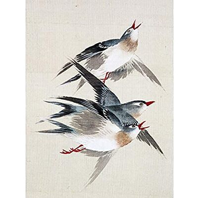 Artery8 Okamoto Pictures Flowers Birds Japanese 17 Painting Unframed Wall Art Print Poster Home Decor Premium Artery8 Okamoto Pictures Flowers Birds Japanese 17 Painting Unframed Wall Art Print Poster Home Decor Premium