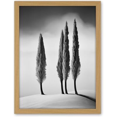 Artery8 Group of Cypress Trees on Snowy Hill Minimalist Black and White Photograph Cypresses in Foggy Winter Landscape Artwork Framed Wall Art Print 18X24 Inch Artery8 Group of Cypress Trees on Snowy Hill Minimalist Black and White Photograph Cypresses in Foggy Winter Landscape Artwork Framed Wall Art Print 18X24 Inch