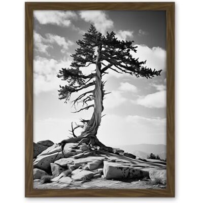Artery8 Weathered Jeffrey Pine Standing on a Rocky Hill Black and White Photograph Lone Tree Artwork Framed Wall Art Print 18X24 Inch Artery8 Weathered Jeffrey Pine Standing on a Rocky Hill Black and White Photograph Lone Tree Artwork Framed Wall Art Print 18X24 Inch