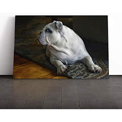 Big Box Art British English Bulldog Dog Canvas Print Gallery Wrapped 30mm Frame Wall Art 20x14 inches Ready to Hang Modern Animals Picture Living Room Bedroom Lounge Office Big Box Art British English Bulldog Dog Canvas Print Gallery Wrapped 30mm Frame Wall Art 20x14 inches Ready to Hang Modern Animals Picture Living Room Bedroom Lounge Office
