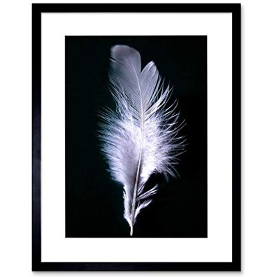 Wee Blue Coo Black White Feather Bird Picture Framed Wall Art Print Wee Blue Coo Black White Feather Bird Picture Framed Wall Art Print