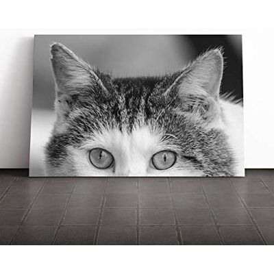 Big Box Art Cat Eyes (14) Canvas Print Gallery Wrapped 30mm Frame Wall Art 30x20 inches Ready to Hang Modern Animals Picture Living Room Bedroom Lounge Office Big Box Art Cat Eyes (14) Canvas Print Gallery Wrapped 30mm Frame Wall Art 30x20 inches Ready to Hang Modern Animals Picture Living Room Bedroom Lounge Office
