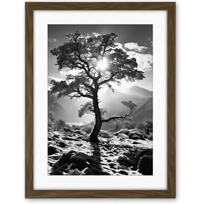 Artery8 Frozen Tree Outline in Mountain Forest Landscape Covered in Snow Black and White Photograph Winter Sunshine Artwork Framed Wall Art Print 18X24 Inch Artery8 Frozen Tree Outline in Mountain Forest Landscape Covered in Snow Black and White Photograph Winter Sunshine Artwork Framed Wall Art Print 18X24 Inch