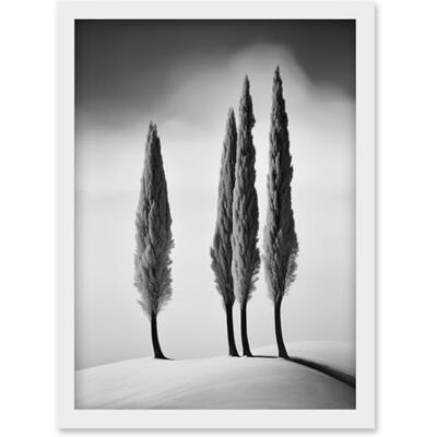 Artery8 Group of Cypress Trees on Snowy Hill Minimalist Black and White Photograph Cypresses in Foggy Winter Landscape Artwork Framed Wall Art Print A4 Artery8 Group of Cypress Trees on Snowy Hill Minimalist Black and White Photograph Cypresses in Foggy Winter Landscape Artwork Framed Wall Art Print A4