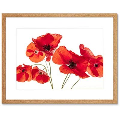 Wee Blue Coo Photo Nature Flower Poppy Heads Red Petals Framed Wall Art Print Wee Blue Coo Photo Nature Flower Poppy Heads Red Petals Framed Wall Art Print