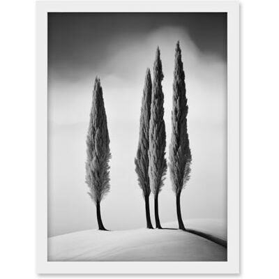 Artery8 Group of Cypress Trees on Snowy Hill Minimalist Black and White Photograph Cypresses in Foggy Winter Landscape Artwork Framed A3 Wall Art Print Artery8 Group of Cypress Trees on Snowy Hill Minimalist Black and White Photograph Cypresses in Foggy Winter Landscape Artwork Framed A3 Wall Art Print