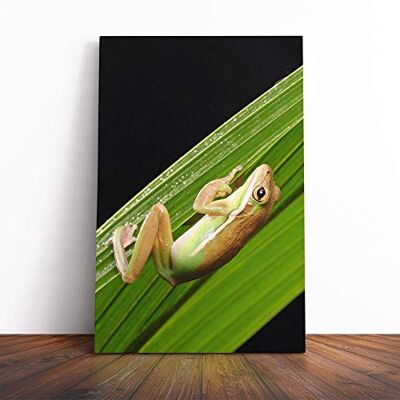 Big Box Art Frog Vol.2 Canvas Print Gallery Wrapped 30mm Frame Wall Art 20x14 inches Ready to Hang Modern Animals Picture Living Room Bedroom Lounge Office Big Box Art Frog Vol.2 Canvas Print Gallery Wrapped 30mm Frame Wall Art 20x14 inches Ready to Hang Modern Animals Picture Living Room Bedroom Lounge Office