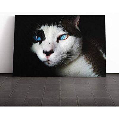 Big Box Art Blue Eyed Cat Canvas Print Gallery Wrapped 30mm Frame Wall Art 24x16 inches Ready to Hang Modern Animals Picture Living Room Bedroom Lounge Office Big Box Art Blue Eyed Cat Canvas Print Gallery Wrapped 30mm Frame Wall Art 24x16 inches Ready to Hang Modern Animals Picture Living Room Bedroom Lounge Office