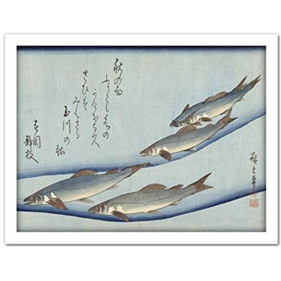 Artery8 Hiroshige Trout Animals Fish Japanese Artwork Framed Wall Art Print 18X24 Inch Artery8 Hiroshige Trout Animals Fish Japanese Artwork Framed Wall Art Print 18X24 Inch