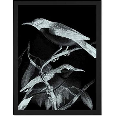 Wee Blue Coo Birds Illustration Night Large Framed Art Print Wall Poster 18x24 inch Wee Blue Coo Birds Illustration Night Large Framed Art Print Wall Poster 18x24 inch