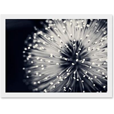Artery8 - Photo Nature - Flower - A4 - Framed Wall Art Artery8 - Photo Nature - Flower - A4 - Framed Wall Art