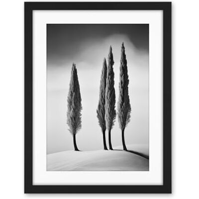 Artery8 Group of Cypress Trees on Snowy Hill Minimalist Black and White Photograph Cypresses in Foggy Winter Landscape Artwork Framed Wall Art Print 18X24 Inch Artery8 Group of Cypress Trees on Snowy Hill Minimalist Black and White Photograph Cypresses in Foggy Winter Landscape Artwork Framed Wall Art Print 18X24 Inch
