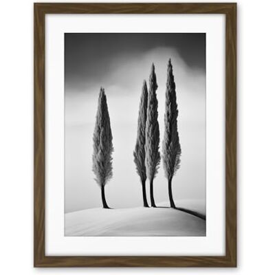 Artery8 Group of Cypress Trees on Snowy Hill Minimalist Black and White Photograph Cypresses in Foggy Winter Landscape Artwork Framed Wall Art Print 18X24 Inch Artery8 Group of Cypress Trees on Snowy Hill Minimalist Black and White Photograph Cypresses in Foggy Winter Landscape Artwork Framed Wall Art Print 18X24 Inch
