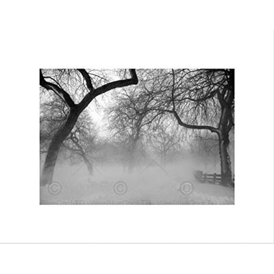 Wee Blue Coo Nature Landscape Forest Snow Fog Ice Winter Black White Wall Art Print Wee Blue Coo Nature Landscape Forest Snow Fog Ice Winter Black White Wall Art Print