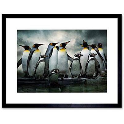Artery8 - Emperor Penguin - 12x16 - Black - Framed wall art Artery8 - Emperor Penguin - 12x16 - Black - Framed wall art