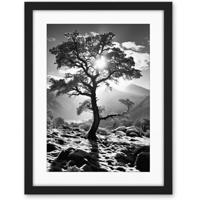 Artery8 Frozen Tree Outline in Mountain Forest Landscape Covered in Snow Black and White Photograph Winter Sunshine Artwork Framed Wall Art Print 18X24 Inch Artery8 Frozen Tree Outline in Mountain Forest Landscape Covered in Snow Black and White Photograph Winter Sunshine Artwork Framed Wall Art Print 18X24 Inch