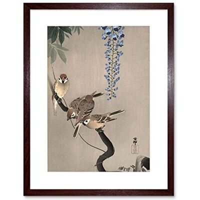 Wee Blue Coo Painting Japan Nature Sparrow Bird Flower Shoson Ohara Framed Wall Art Print Wee Blue Coo Painting Japan Nature Sparrow Bird Flower Shoson Ohara Framed Wall Art Print