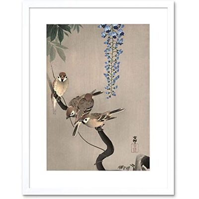 Wee Blue Coo Painting Japan Nature Sparrow Bird Flower Shoson Ohara Framed Wall Art Print Wee Blue Coo Painting Japan Nature Sparrow Bird Flower Shoson Ohara Framed Wall Art Print