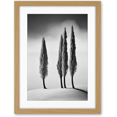 Artery8 Group of Cypress Trees on Snowy Hill Minimalist Black and White Photograph Cypresses in Foggy Winter Landscape Artwork Framed Wall Art Print 18X24 Inch Artery8 Group of Cypress Trees on Snowy Hill Minimalist Black and White Photograph Cypresses in Foggy Winter Landscape Artwork Framed Wall Art Print 18X24 Inch