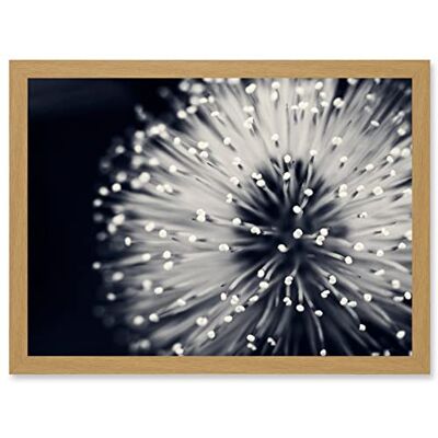 Artery8 - Photo Nature Plant Flower - Black & White - A4 - Framed Wall Art Print Artery8 - Photo Nature Plant Flower - Black & White - A4 - Framed Wall Art Print