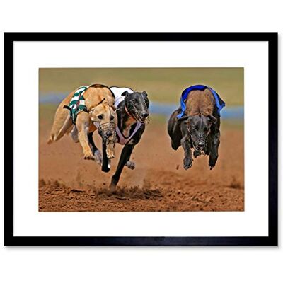Wee Blue Coo Greyhound Sing Running Dog Track Sport Photo Framed Art Print Picture F12X375 Wee Blue Coo Greyhound Sing Running Dog Track Sport Photo Framed Art Print Picture F12X375