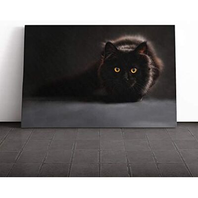 Big Box Art Black Cat Canvas Print Gallery Wrapped 30mm Frame Wall Art 20x14 inches Ready to Hang Modern Animals Picture Living Room Bedroom Lounge Office Big Box Art Black Cat Canvas Print Gallery Wrapped 30mm Frame Wall Art 20x14 inches Ready to Hang Modern Animals Picture Living Room Bedroom Lounge Office