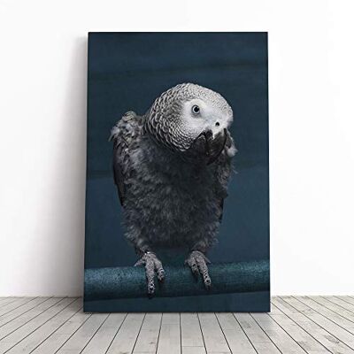 Big Box Art African Grey Parrot Canvas Print Gallery Wrapped 30mm Frame Wall Art 24x16 inches Ready to Hang Modern Animals Picture Living Room Bedroom Lounge Office Big Box Art African Grey Parrot Canvas Print Gallery Wrapped 30mm Frame Wall Art 24x16 inches Ready to Hang Modern Animals Picture Living Room Bedroom Lounge Office