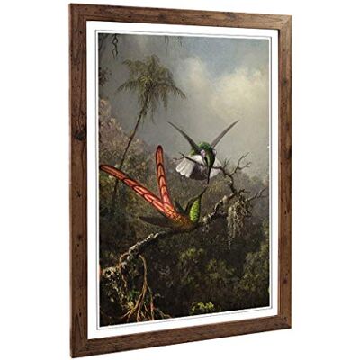 Big Box Art Martin Johnson Heade Orchid with Two Hummingbirds Framed Wall Art Print Ready to Hang, Satin Fine Art Paper, Fade-Resistant Inks, Acrylic Glazing, Securely Packaged, Made in the UK Big Box Art Martin Johnson Heade Orchid with Two Hummingbirds Framed Wall Art Print Ready to Hang, Satin Fine Art Paper, Fade-Resistant Inks, Acrylic Glazing, Securely Packaged, Made in the UK