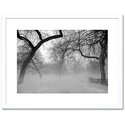 Wee Blue Coo Nature Landscape Forest Snow Fog Ice Winter Black White Framed Wall Art Print Wee Blue Coo Nature Landscape Forest Snow Fog Ice Winter Black White Framed Wall Art Print