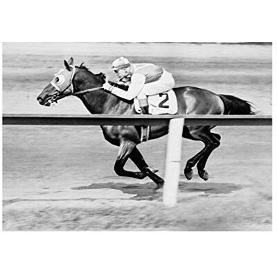 Wee Blue Coo Sport Pollard Jockey Seabiscuit Yonkers Empire Picture Wall Art Print Wee Blue Coo Sport Pollard Jockey Seabiscuit Yonkers Empire Picture Wall Art Print