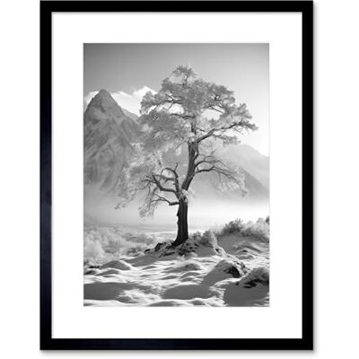 Artery8 Frozen Tree in Snowy Mountain Landscape Bright Black and White Photograph Winter Sunrise Crisp Morning Light Artwork Framed Wall Art Print 9X7 Inch Artery8 Frozen Tree in Snowy Mountain Landscape Bright Black and White Photograph Winter Sunrise Crisp Morning Light Artwork Framed Wall Art Print 9X7 Inch