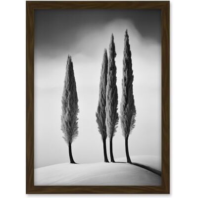 Artery8 Group of Cypress Trees on Snowy Hill Minimalist Black and White Photograph Cypresses in Foggy Winter Landscape Artwork Framed A3 Wall Art Print Artery8 Group of Cypress Trees on Snowy Hill Minimalist Black and White Photograph Cypresses in Foggy Winter Landscape Artwork Framed A3 Wall Art Print
