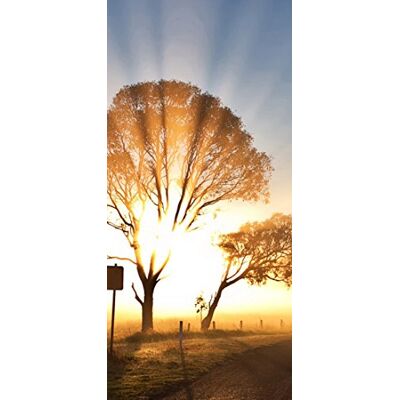 PeelitStickit , Beautiful Nature Wall Murals, ID-131, vinyl PeelitStickit , Beautiful Nature Wall Murals, ID-131, vinyl