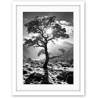 Artery8 Frozen Tree Outline in Mountain Forest Landscape Covered in Snow Black and White Photograph Winter Sunshine Artwork Framed Wall Art Print 18X24 Inch Artery8 Frozen Tree Outline in Mountain Forest Landscape Covered in Snow Black and White Photograph Winter Sunshine Artwork Framed Wall Art Print 18X24 Inch