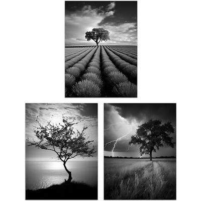 Artery8 Set of 3 Lone Tree and Storm Clouds Black and White Photographs Atmospheric Coastal Landscape Unframed Wall Art Living Room Poster Prints Pack Artery8 Set of 3 Lone Tree and Storm Clouds Black and White Photographs Atmospheric Coastal Landscape Unframed Wall Art Living Room Poster Prints Pack