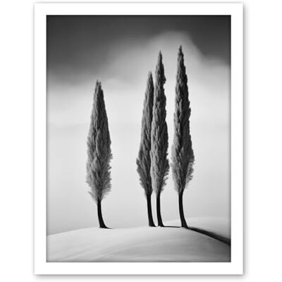 Artery8 Group of Cypress Trees on Snowy Hill Minimalist Black and White Photograph Cypresses in Foggy Winter Landscape Artwork Framed Wall Art Print 18X24 Inch Artery8 Group of Cypress Trees on Snowy Hill Minimalist Black and White Photograph Cypresses in Foggy Winter Landscape Artwork Framed Wall Art Print 18X24 Inch