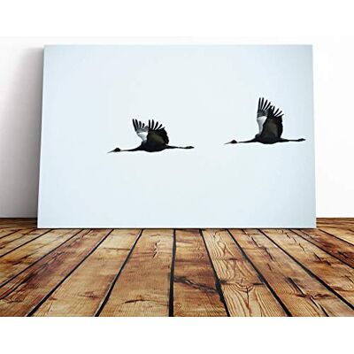 Big Box Art Flying Cranes Birds Canvas Print Gallery Wrapped 30mm Frame Wall Art 20x14 inches Ready to Hang Modern Bird Picture Living Room Bedroom Lounge Office Big Box Art Flying Cranes Birds Canvas Print Gallery Wrapped 30mm Frame Wall Art 20x14 inches Ready to Hang Modern Bird Picture Living Room Bedroom Lounge Office