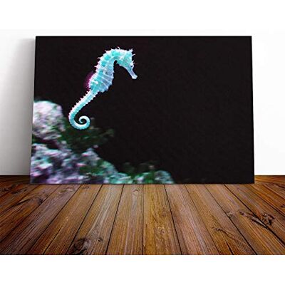 Big Box Art Seahorse Vol.2 Canvas Print Gallery Wrapped 30mm Frame Wall Art 20x14 inches Ready to Hang Modern Animals Picture Living Room Bedroom Lounge Office Big Box Art Seahorse Vol.2 Canvas Print Gallery Wrapped 30mm Frame Wall Art 20x14 inches Ready to Hang Modern Animals Picture Living Room Bedroom Lounge Office