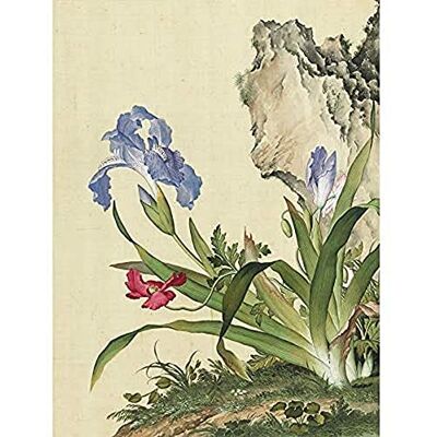Fine Art Prints Castiglione Iris Flower Plant Painting Unframed Wall Art Print Poster Home Decor Premium Fine Art Prints Castiglione Iris Flower Plant Painting Unframed Wall Art Print Poster Home Decor Premium