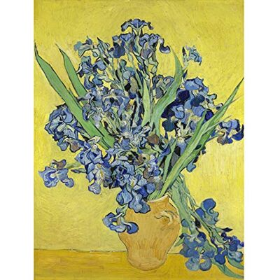 Fine Art Prints Van Gogh Irises Painting Large Canvas Wall Art Print Fine Art Prints Van Gogh Irises Painting Large Canvas Wall Art Print