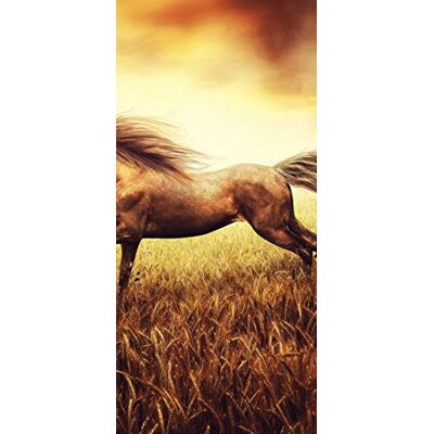 PeelitStickit Dark Horse, Animal Wall Murals ID-169, vinyl PeelitStickit Dark Horse, Animal Wall Murals ID-169, vinyl