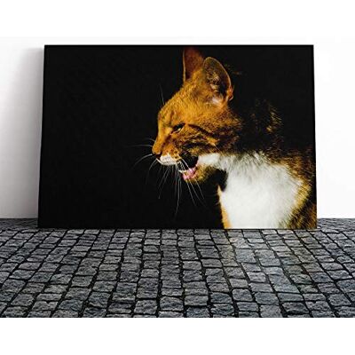Big Box Art Ginger Cat Canvas Print Gallery Wrapped 30mm Frame Wall Art 20x14 inches Ready to Hang Modern Animals Picture Living Room Bedroom Lounge Office Big Box Art Ginger Cat Canvas Print Gallery Wrapped 30mm Frame Wall Art 20x14 inches Ready to Hang Modern Animals Picture Living Room Bedroom Lounge Office