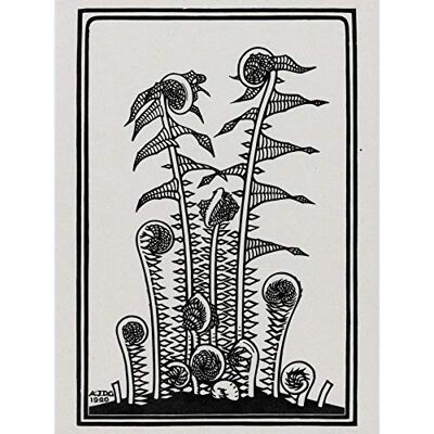 Artery8 Julie De Graag Ferns Plants Nature 1920 Large XL Wall Art Canvas Print Artery8 Julie De Graag Ferns Plants Nature 1920 Large XL Wall Art Canvas Print