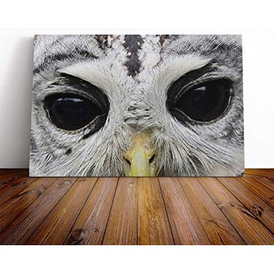 Big Box Art Owl Eyes Canvas Print Gallery Wrapped 30mm Frame Wall Art 20x14 inches Ready to Hang Modern Animals Picture Living Room Bedroom Lounge Office Big Box Art Owl Eyes Canvas Print Gallery Wrapped 30mm Frame Wall Art 20x14 inches Ready to Hang Modern Animals Picture Living Room Bedroom Lounge Office