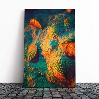 Big Box Art Seashell Shell Ocean Vol.3 Canvas Print Gallery Wrapped 30mm Frame Wall Art 24x16 inches Ready to Hang Modern Animals Picture Living Room Bedroom Lounge Office Big Box Art Seashell Shell Ocean Vol.3 Canvas Print Gallery Wrapped 30mm Frame Wall Art 24x16 inches Ready to Hang Modern Animals Picture Living Room Bedroom Lounge Office