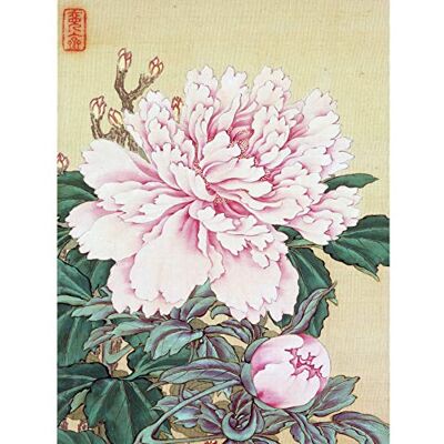 Artery8 Okamoto Pictures Flowers Birds Japanese 11 Painting Large Wall Art Poster Print Thick Paper 18X24 Inch Artery8 Okamoto Pictures Flowers Birds Japanese 11 Painting Large Wall Art Poster Print Thick Paper 18X24 Inch