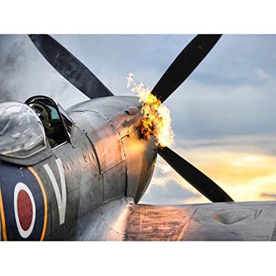 Fine Art Prints Taylor Military UK Spitfire TE311 Fighter Plane Photo Large XL Wall Art Canvas Print Fine Art Prints Taylor Military UK Spitfire TE311 Fighter Plane Photo Large XL Wall Art Canvas Print
